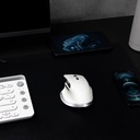 Mouse Ergonómico Acteck Óptico Virtuos Pro MI780 Inalámbrico Bluetooth/USB-C 3000DPI Blanco