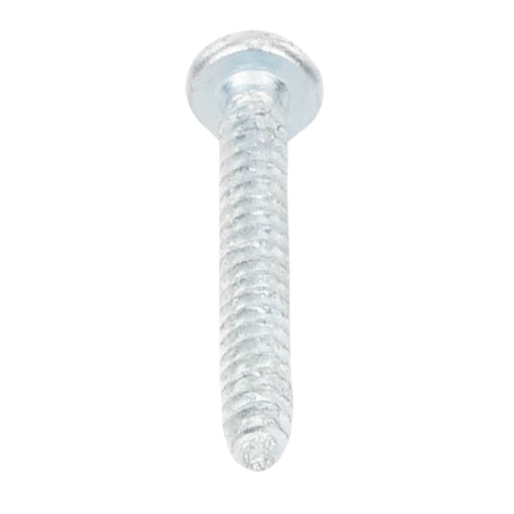 Tornillo Para Taquete TP2X Thorsman TH-10X 10 mm x 1 1/2 1000pzs