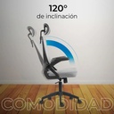 ACC20123361_862344-MLA97341769393_112025