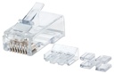Plug modular rj45 intellinet utp cat6a solido 80pzs contacto chapa oro