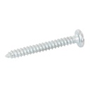 Tornillo Para Taquete TP2X Thorsman TH-10X 10 mm x 1 1/2 1000pzs
